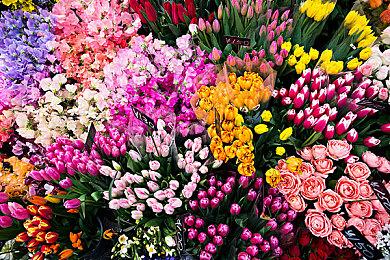 “野蛮FPS”游戏《涡轮超杀》公布 登陆多平台 